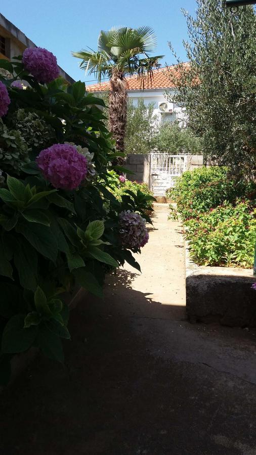 Hostel Melada Dom Zadar Zewnętrze zdjęcie